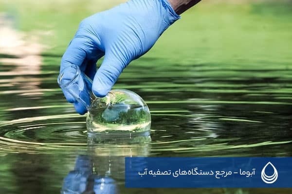 طبیعت و مسئولیت اجتماعی